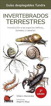 Invertebrados terrestres (2 edicion) (GUIAS DESPLEGABLES)