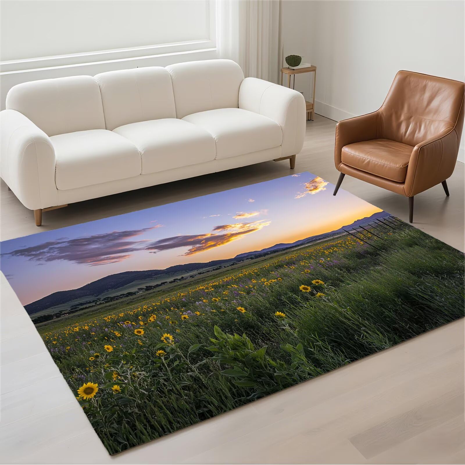 Petit carpet de salon doux finitions soignées style paysages contemporains