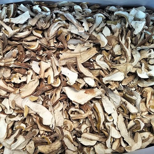 Miniatura 3 de Boletus, cep, Boletus Luridus, Boletus Reticulatus, Boletus Taianus, Boletus Sylvestris, Boletus natural, Boletus Venturii, niuganjun, hongo seco