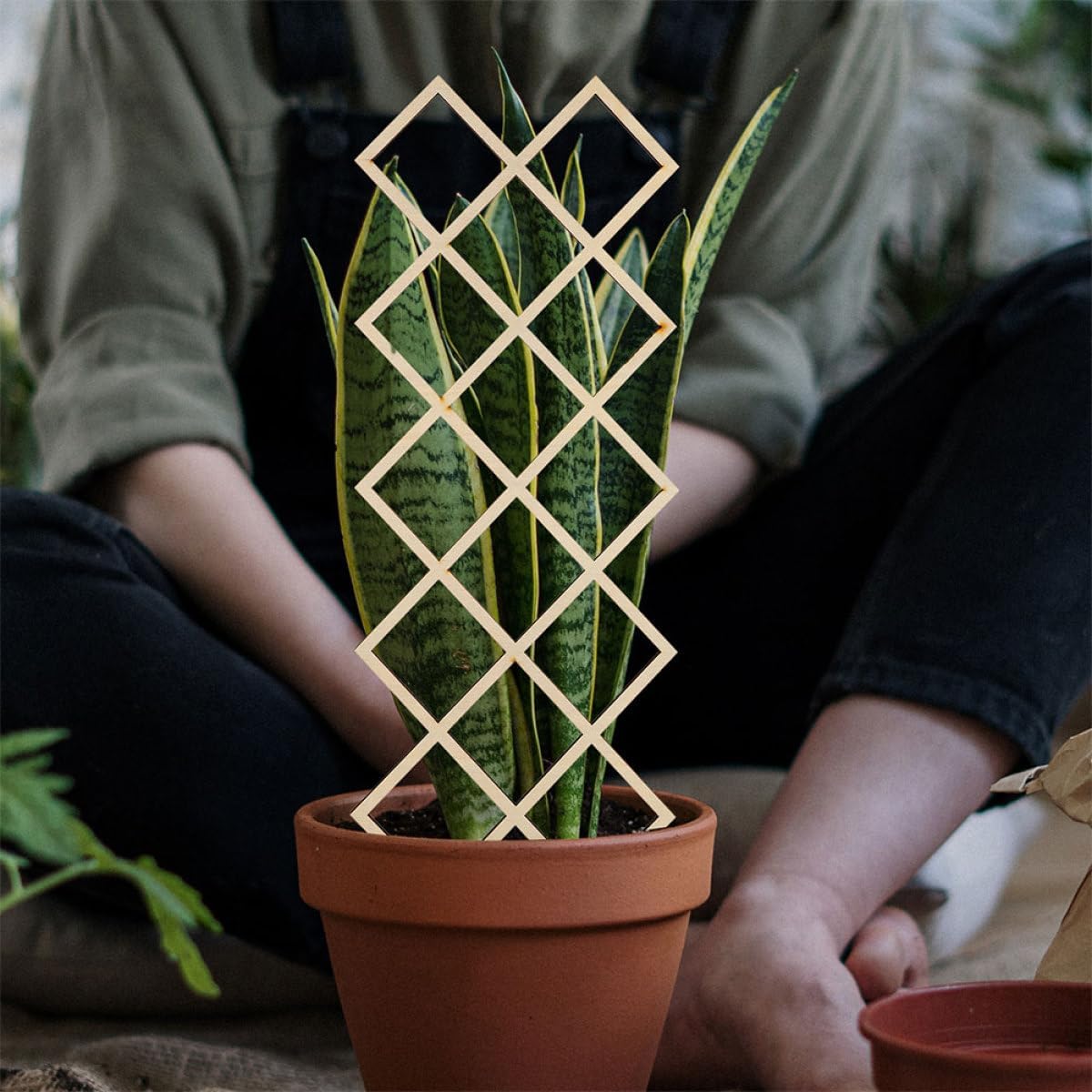 Wooden Plant Trellis for Tomatoes and Vines, Honeycomb Grid DIY Support image 5