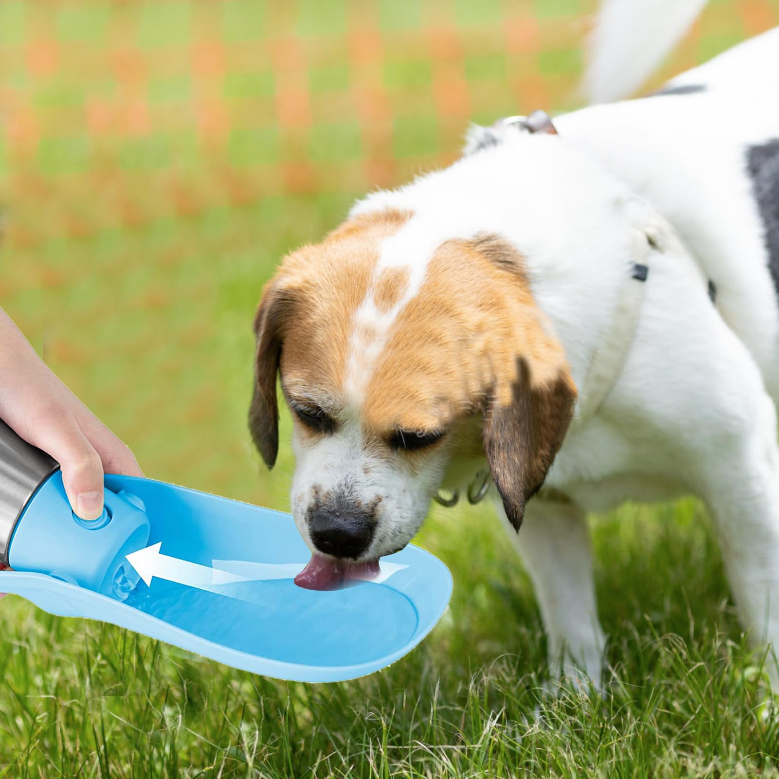 Borraccia portatile per cani, dispenser d'acqua per cani, in acciaio inox, tazza da viaggio per animali domestici, bottiglia d'acqua per esterni, ciotola pieghevole per cani (verde chiaro)