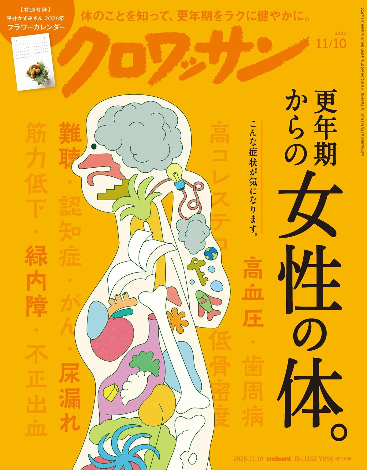 樹生かなめ[GARBO]個人誌11冊セット 道産子ギャルはなまらめんこい 11／伊科田 海 | 集英社 ― SHUEISHA ―