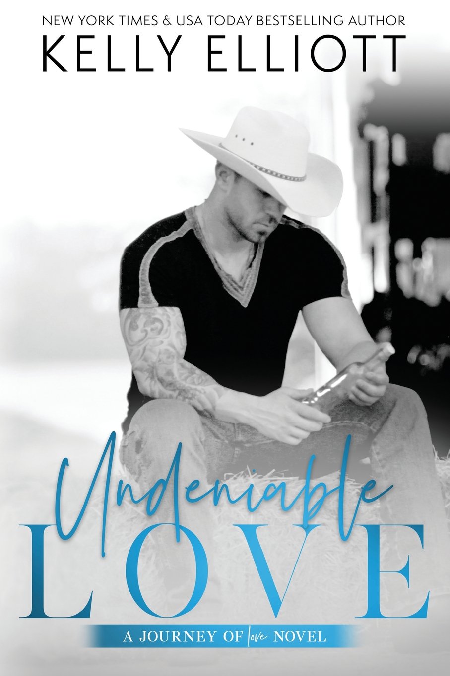 Undeniable Love: Volume 2 (Journey Of Love)