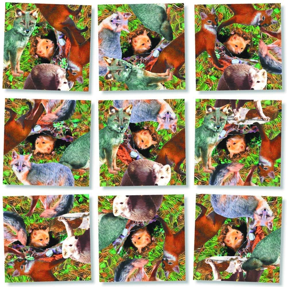 Scramble Squares- Foxes 9 Piece Scramble Square Puzzle - Challenging Brain Teaser for Children & Adults-Boosts Cognitive Function & Problem Solving