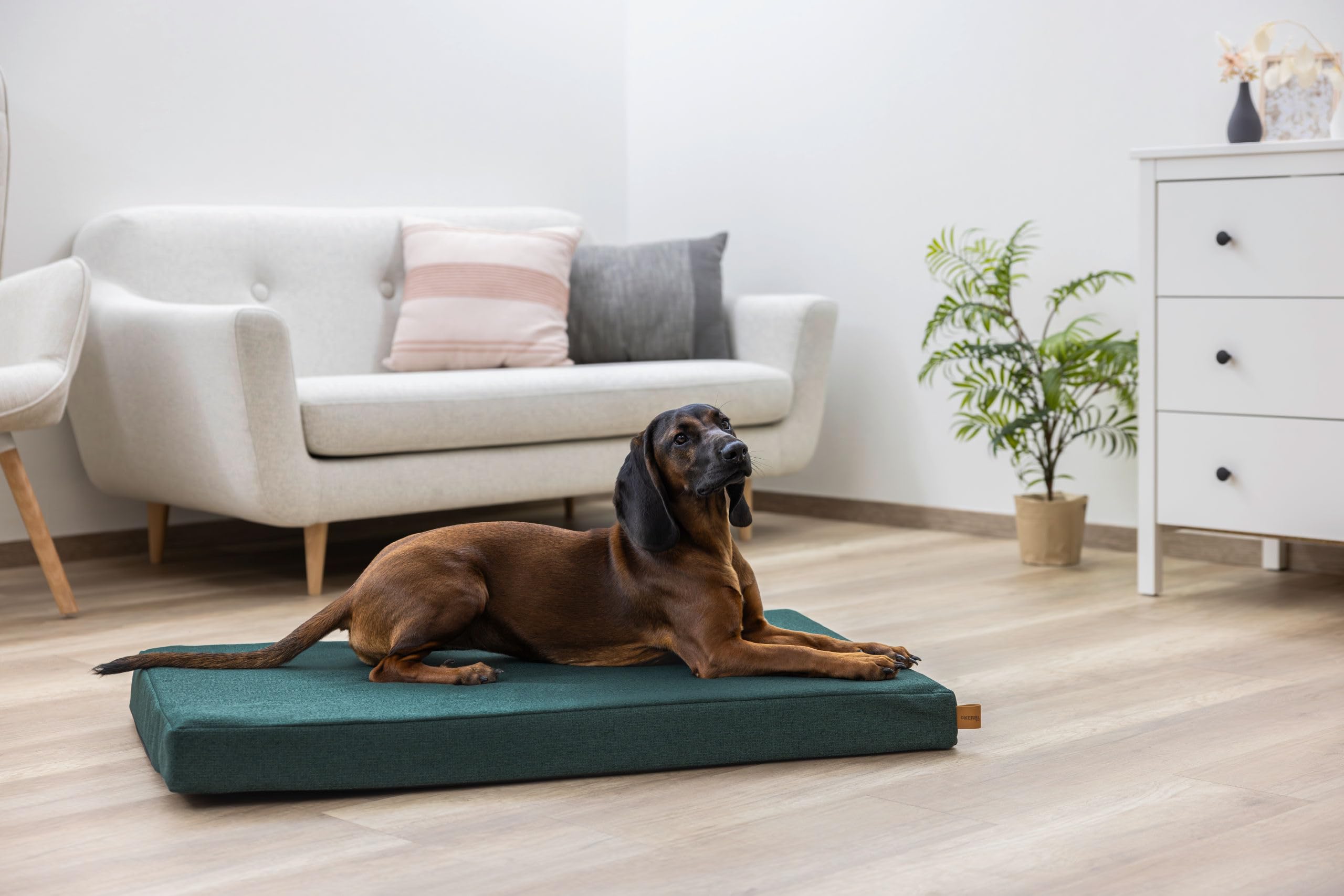 Kerbl Pet materasso in memory foam Oliver, verde inglese, 115x75x8 cm, cuccia per cani, sdraio per cani, cuscino per cani, schiuma