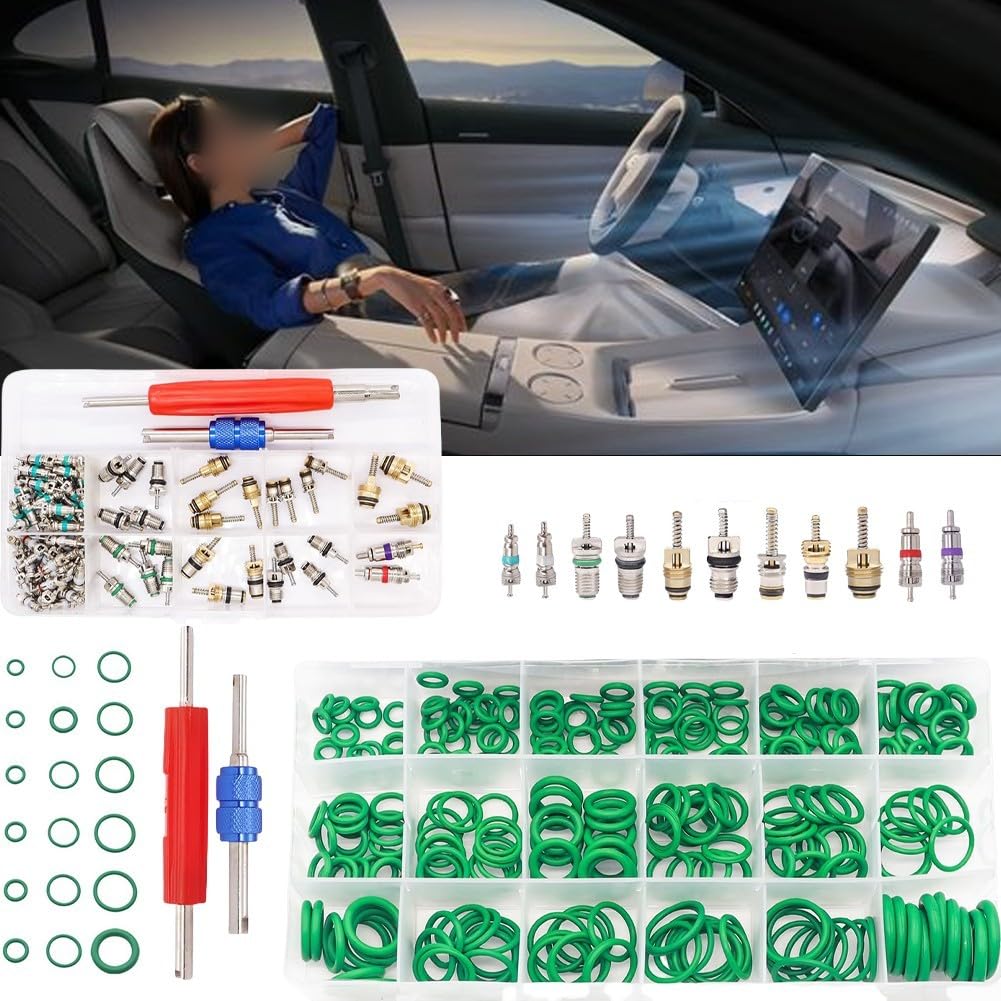 Kit di 372 valvole per condizionatore d'aria per sistemi R12 e R134a - Include nucleo valvola in plastica e metallo, scatola portaoggetti organizzata (20 x 10 x 5 cm) per veicoli elettrici