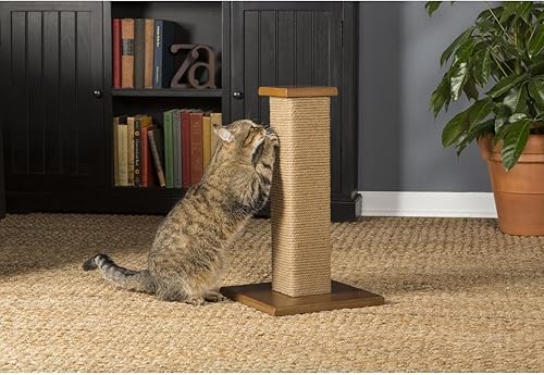 Vista 4 de Productos prevue Pet Kitty Power Paws Post, natural, alto, Natural