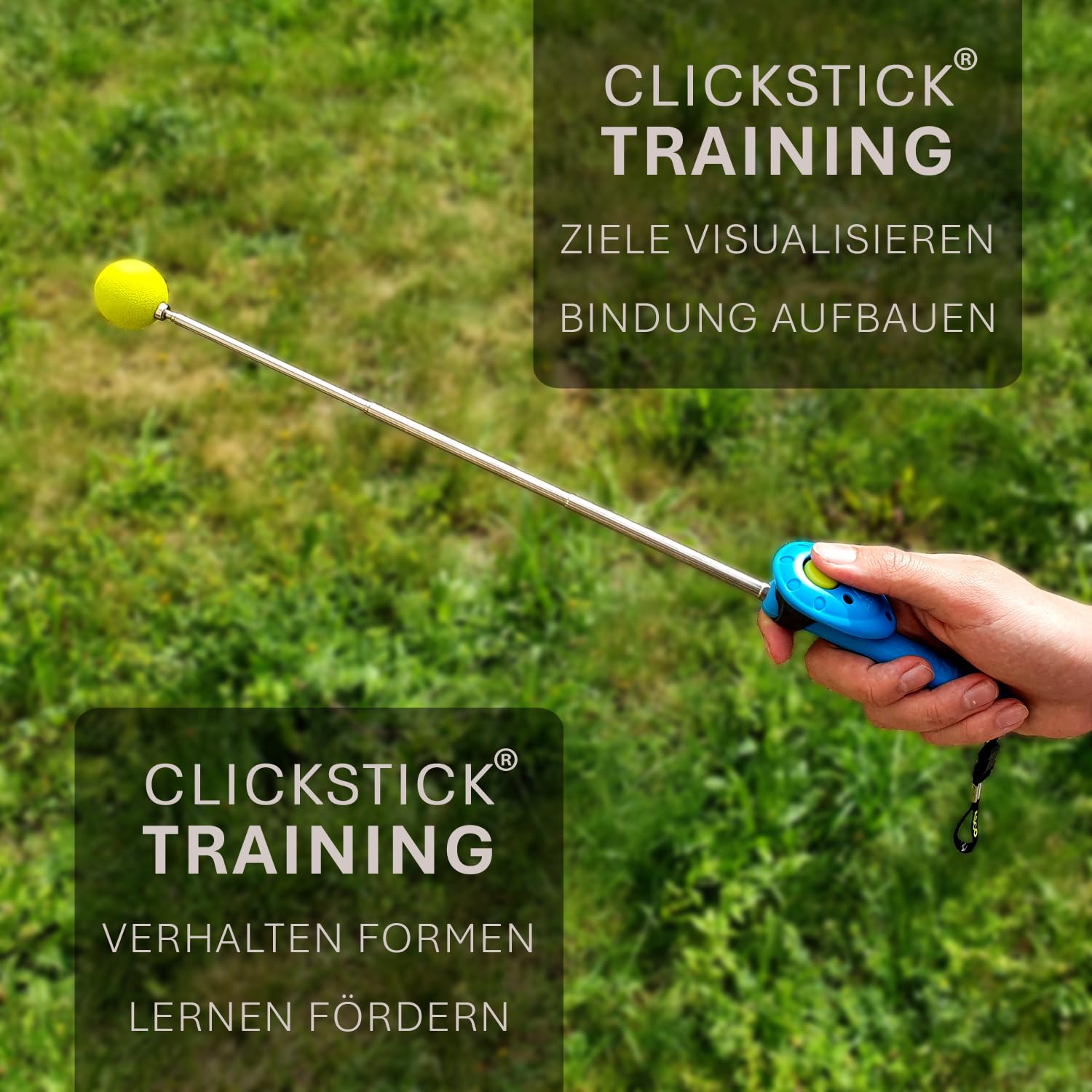 ASCO ClickStick®, Target Stick avec cliquet de qualité supérieur Amovible, Cible télescopique pour Chiens, Chats, Cheval cliquet de Dressage, Noir AC01TCS