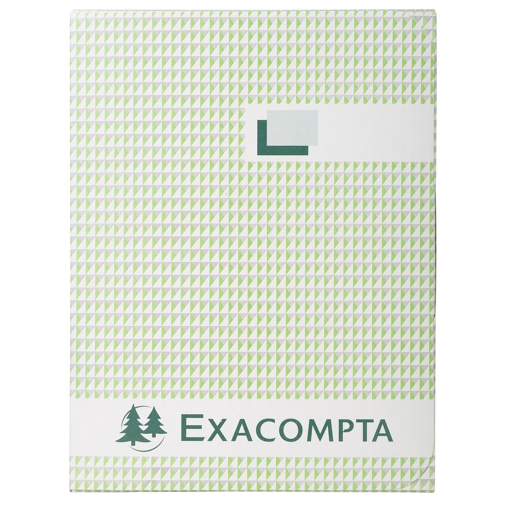 Exacompta - Ref 16110E - A4 Horizontal Account Book (80 Pages) - 270 X 320mm In Size, Horizontal Format, 11 Columns On 1 Page, 28 Lines - Random Colour (French