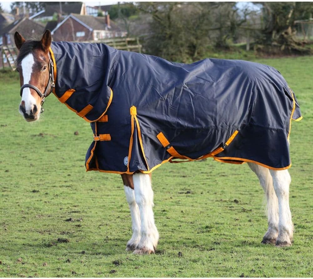 No Fill Lightweight Horse Turnout Rug 600 D Combo Waterproof Turnout Rug 0g (6'0'')