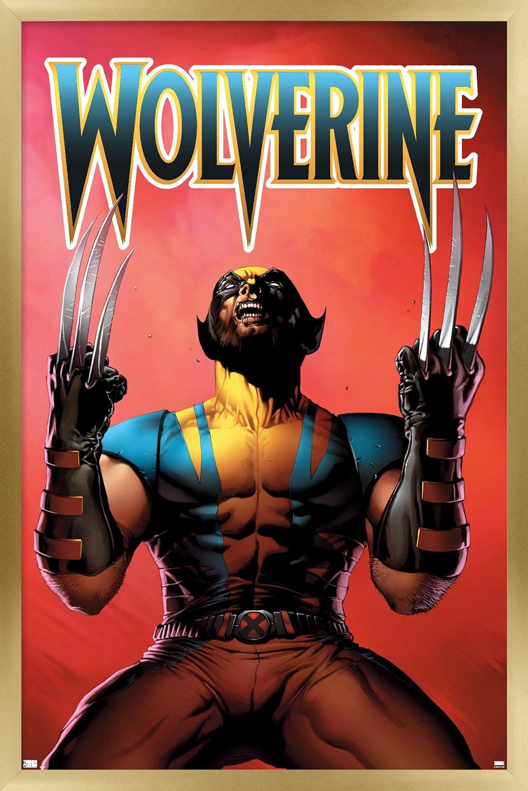 Amazon.com: Marvel Comics Wolverine - Astonishing X-Men #1 Variant
