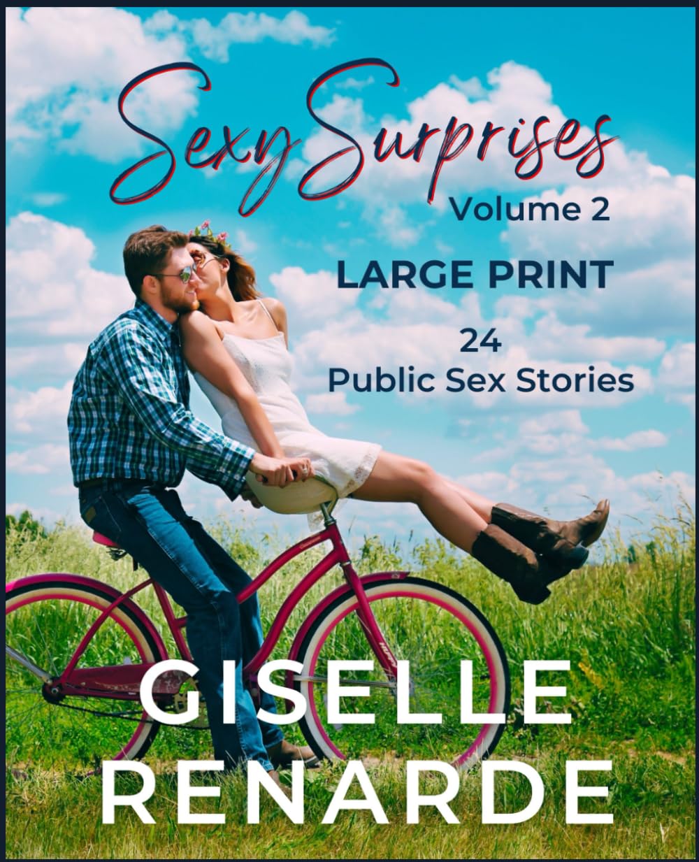 Sexy Surprises Volume 2: 24 Public Sex Stories