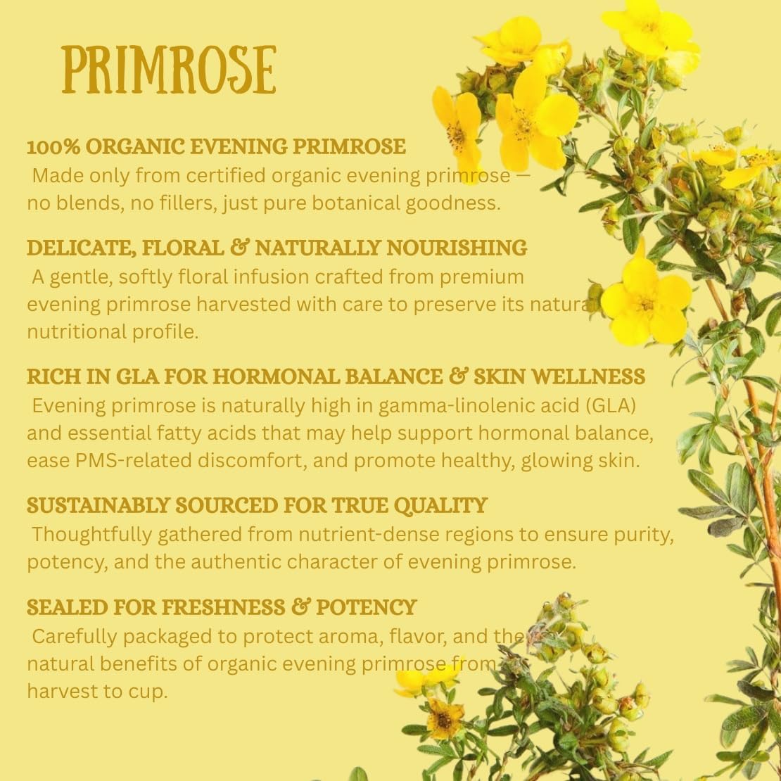 Healthy Healing Herbs Organic Primrose Tea – 100 Tea Bags | Premium Dried Primrose Herb | Naturally Caffeine-Free Herbal Tea