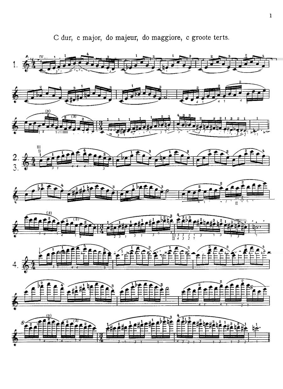 アート・デザイン・音楽 Carl Flesch: Violin Fingering Carl Flesch: Violin Fingering