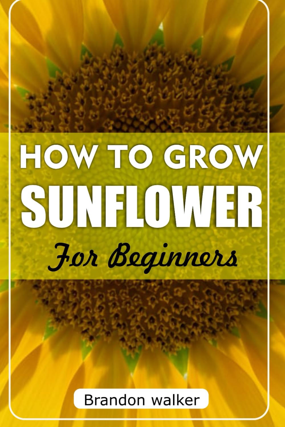 How to Grow sunflower For Beginners: The Ultimate Beginner's Guide to Growing, Caring For, and Harvesting Stunning Sunflowers at Home and Garden