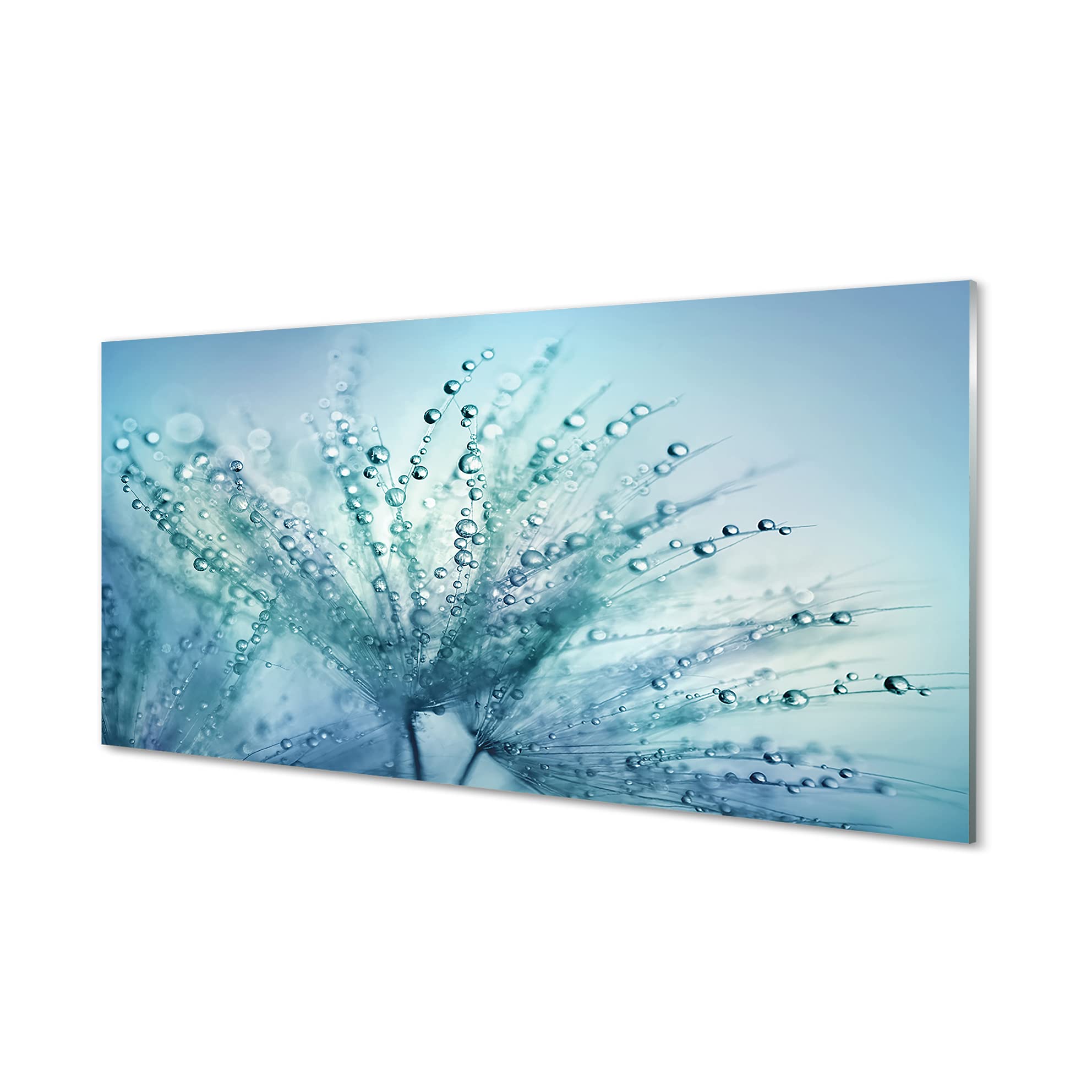 Tableau decoration murale en plexiglas 120x60cm pour salon moderne avec macro pissenlit