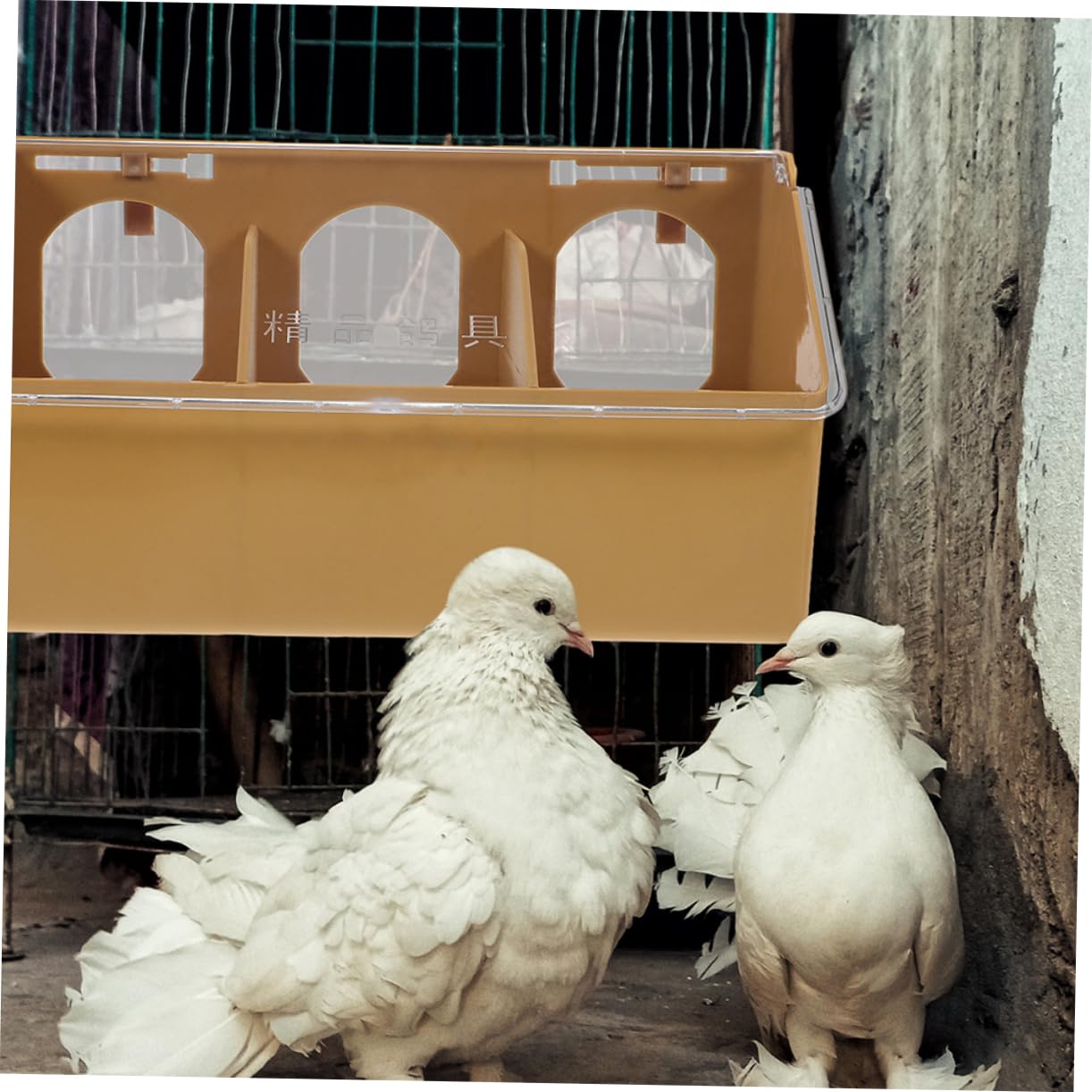 2pezzi Contenitore per Cibo Trasparente per Gabbia per Uccelli Facile da Installare per Piccioni Pappagalli Canarini Quaglie Passeri