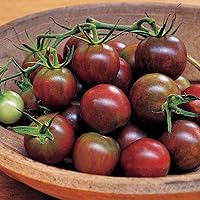 Vista 7 de Burpee "San Marzano" Heirloom, Tomate para pasta, 75 semillas no transgénicas