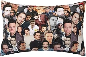 Sebastian Stan Throw Pillow Covers