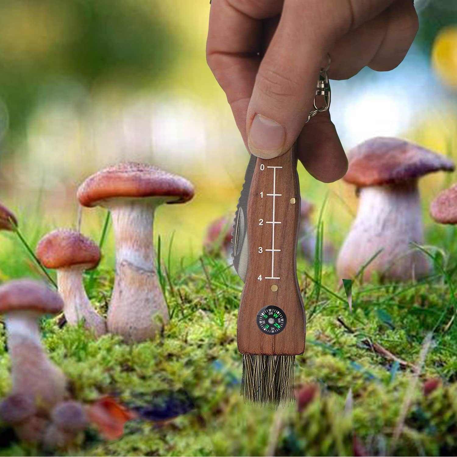 Mushroom Harvesting Knife, No Lock Folding Garden Tool for Foraging & Cleaning, Two-Hand Opening Knife with Wood Handle for Men Women