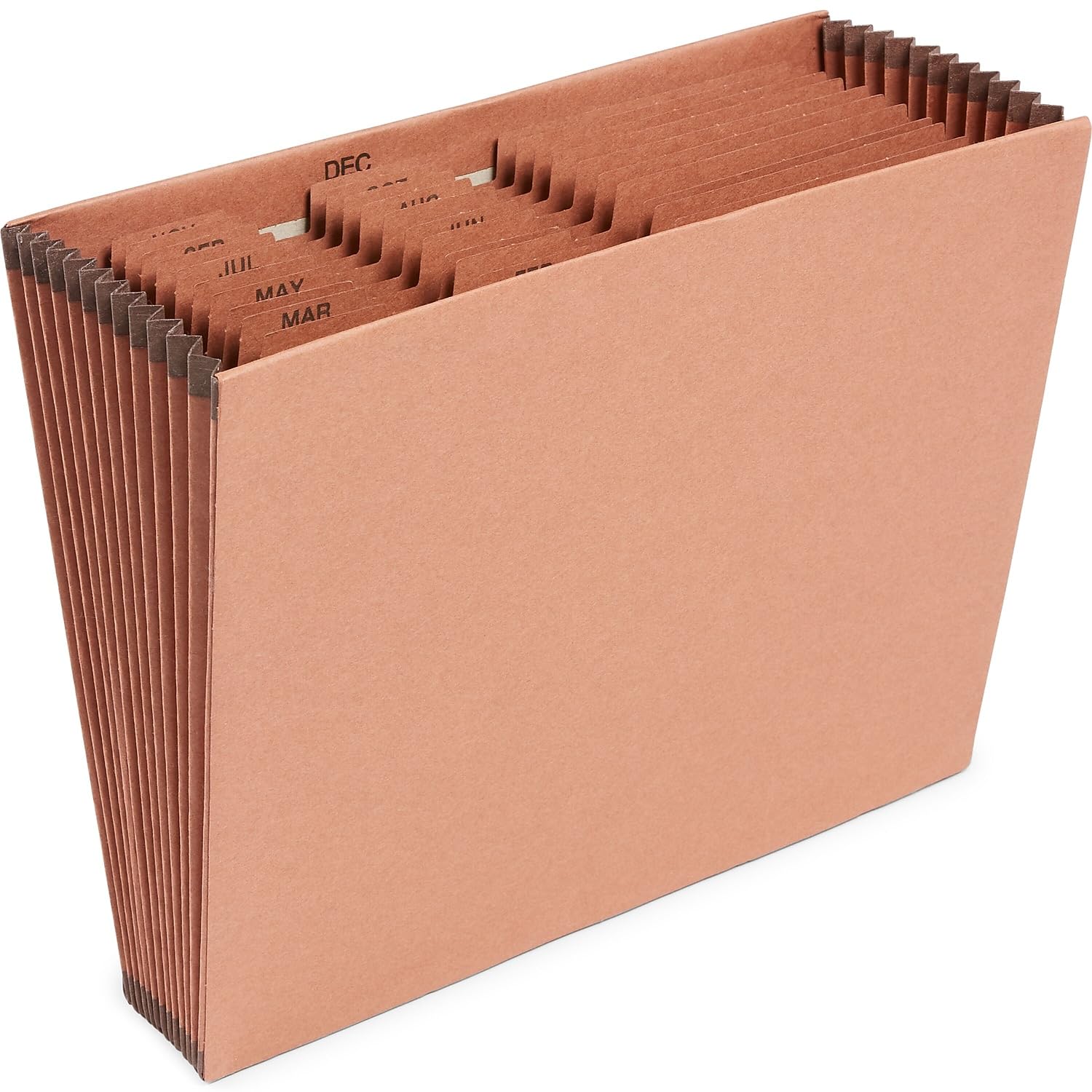 コロンページ Amazon.com: Staples Heavy‑Duty Expanding File, Jan–Dec Monthly