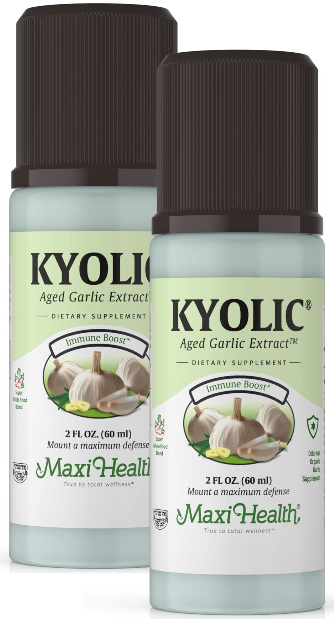 Maxi Health Kyolic Aged Garlic Extract Liquid - Odorless Garlic Supplements - Organic Kyolic Garlic - Organic Garlic Supplements - (2 Pack)