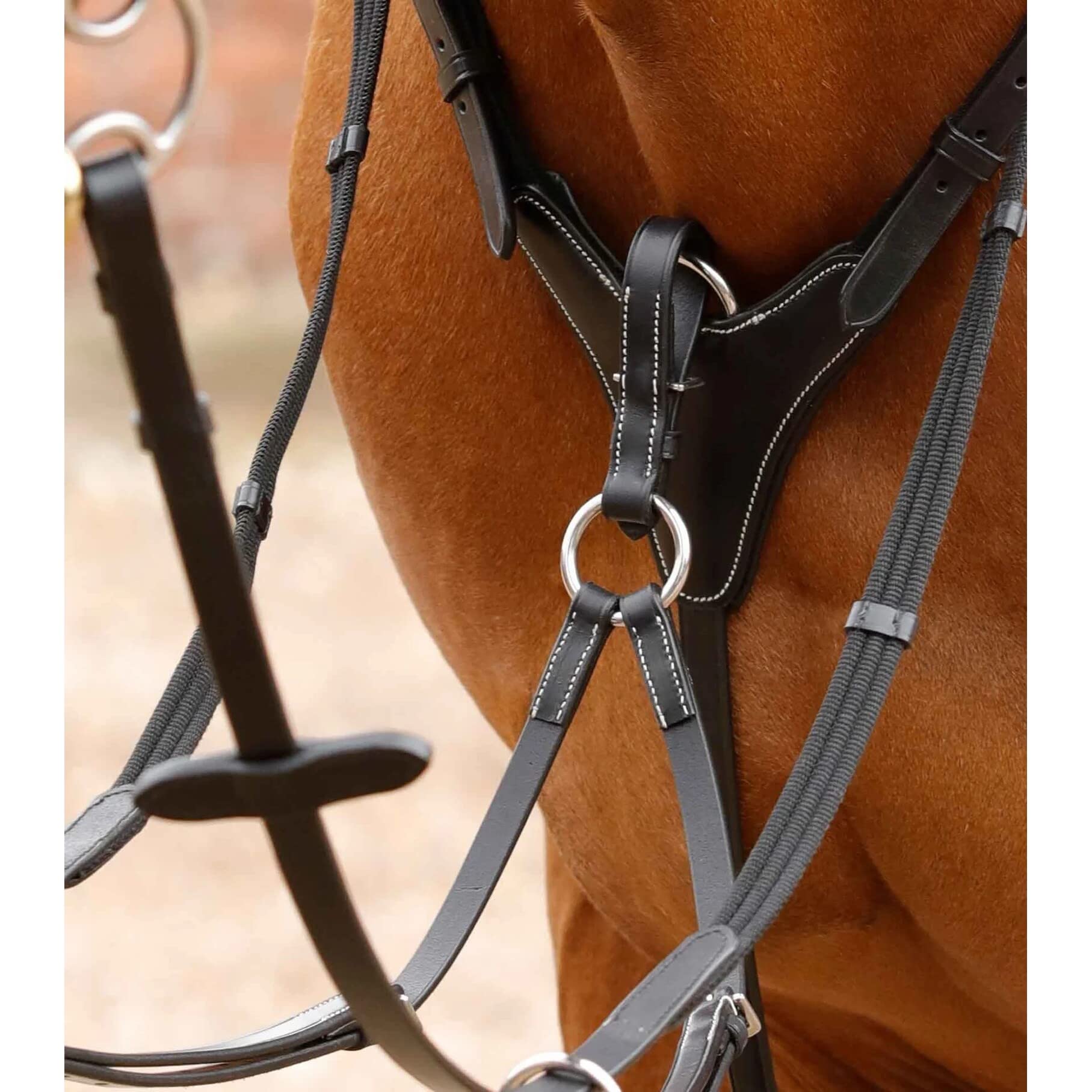 Premier Equine Collare da Caccia per Cavalli Norbello