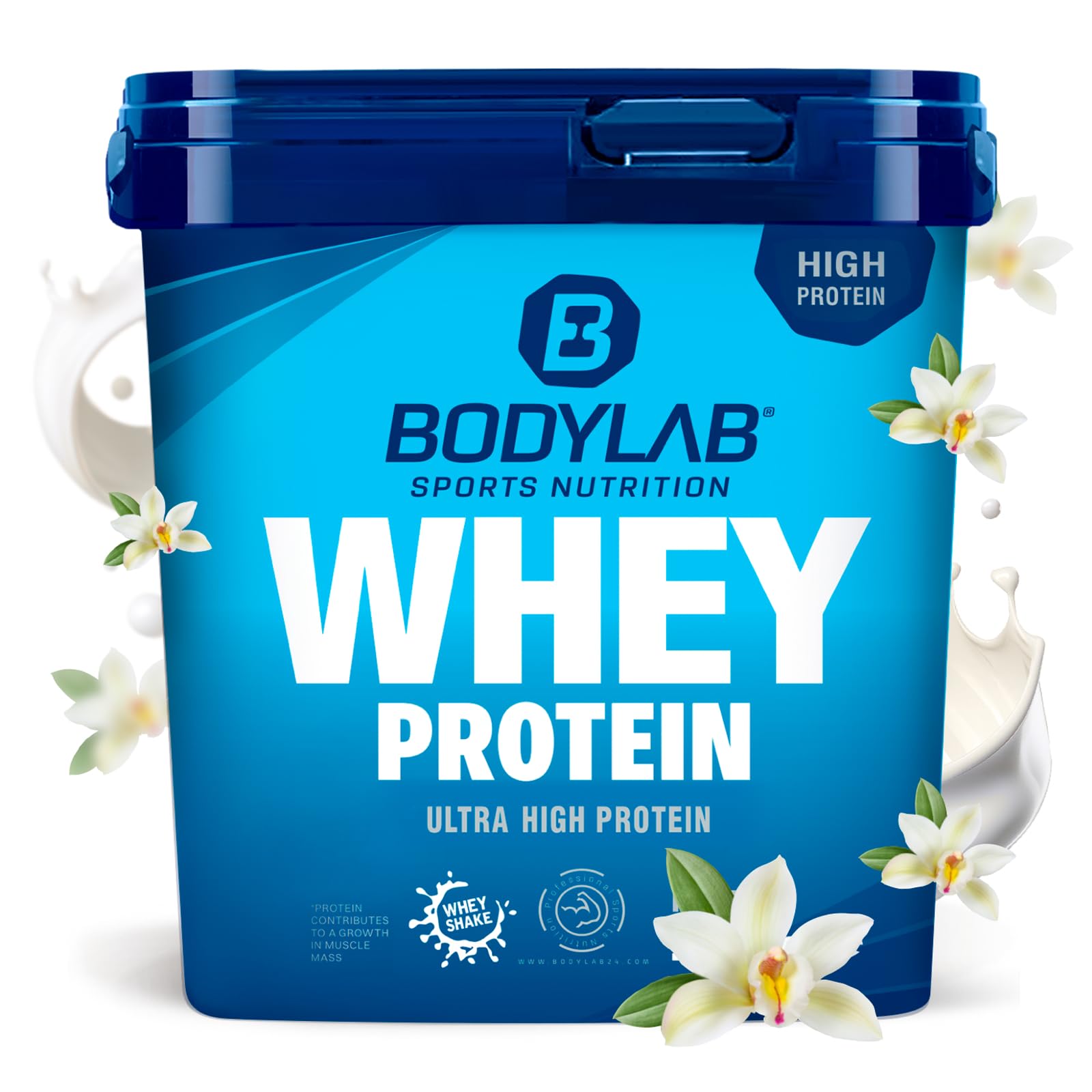 Bodylab24 Whey Protein Pulver, Vanille, 2kg