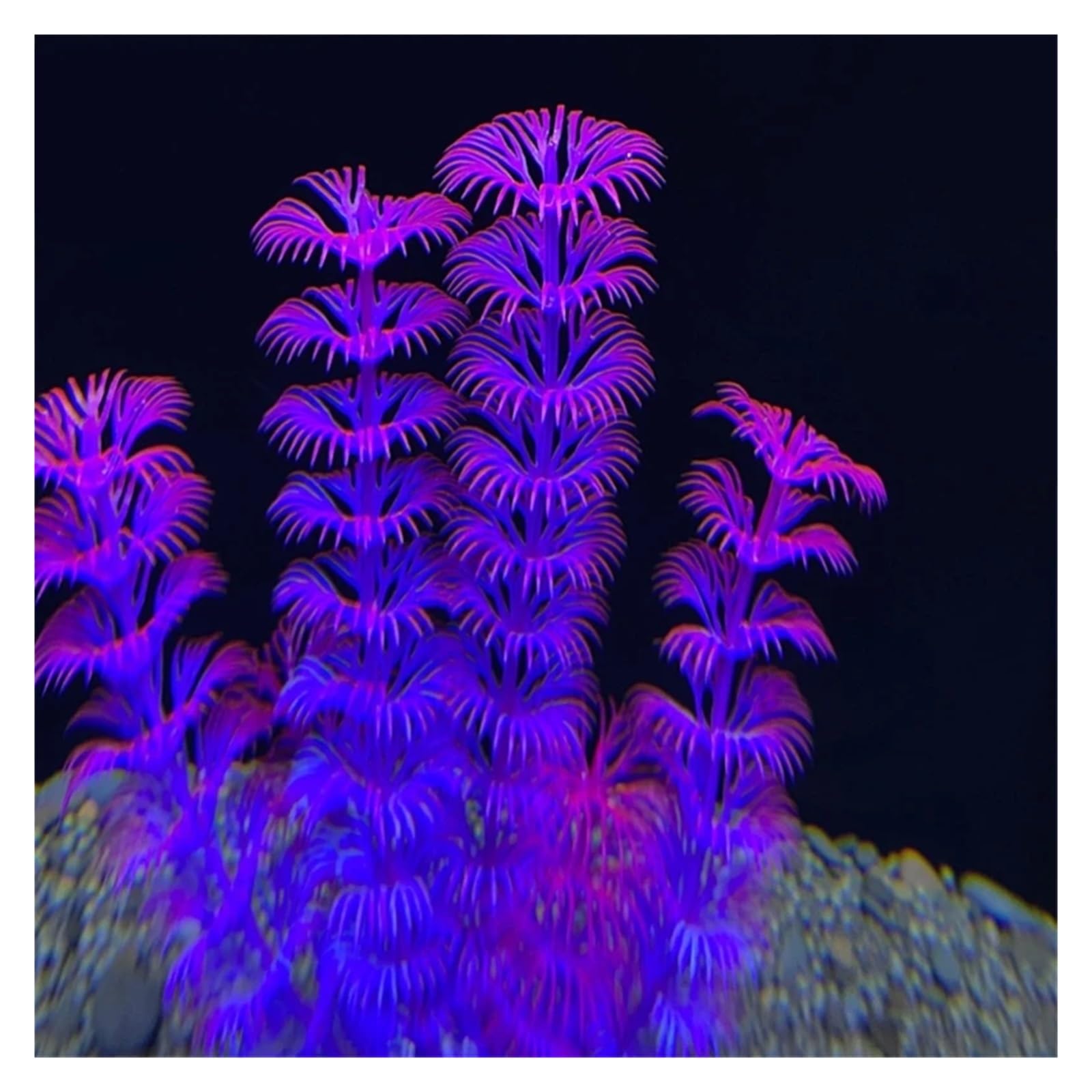 Plantas Artificiales para acuarios, Hierba de Agua Artificial for Acuario 12 Piezas