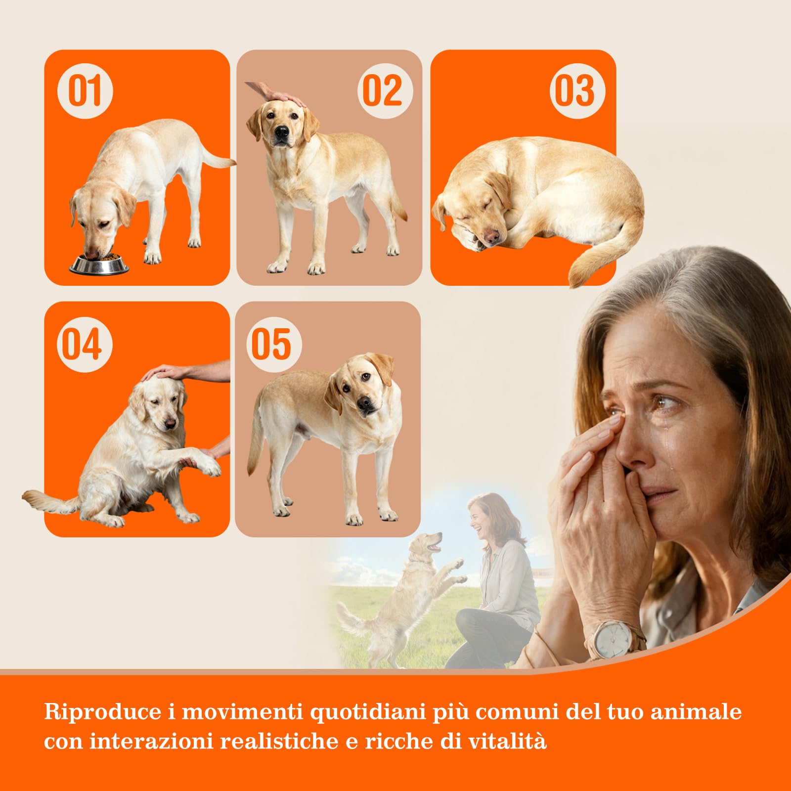 Scatola Commemorativa Olografica Personalizzata per Animali Domestici – Cornice in Resina con Foto e Incisione – Regalo Speciale per Ricordare il Tuo Animale, Perfetto per Amici, Familiari