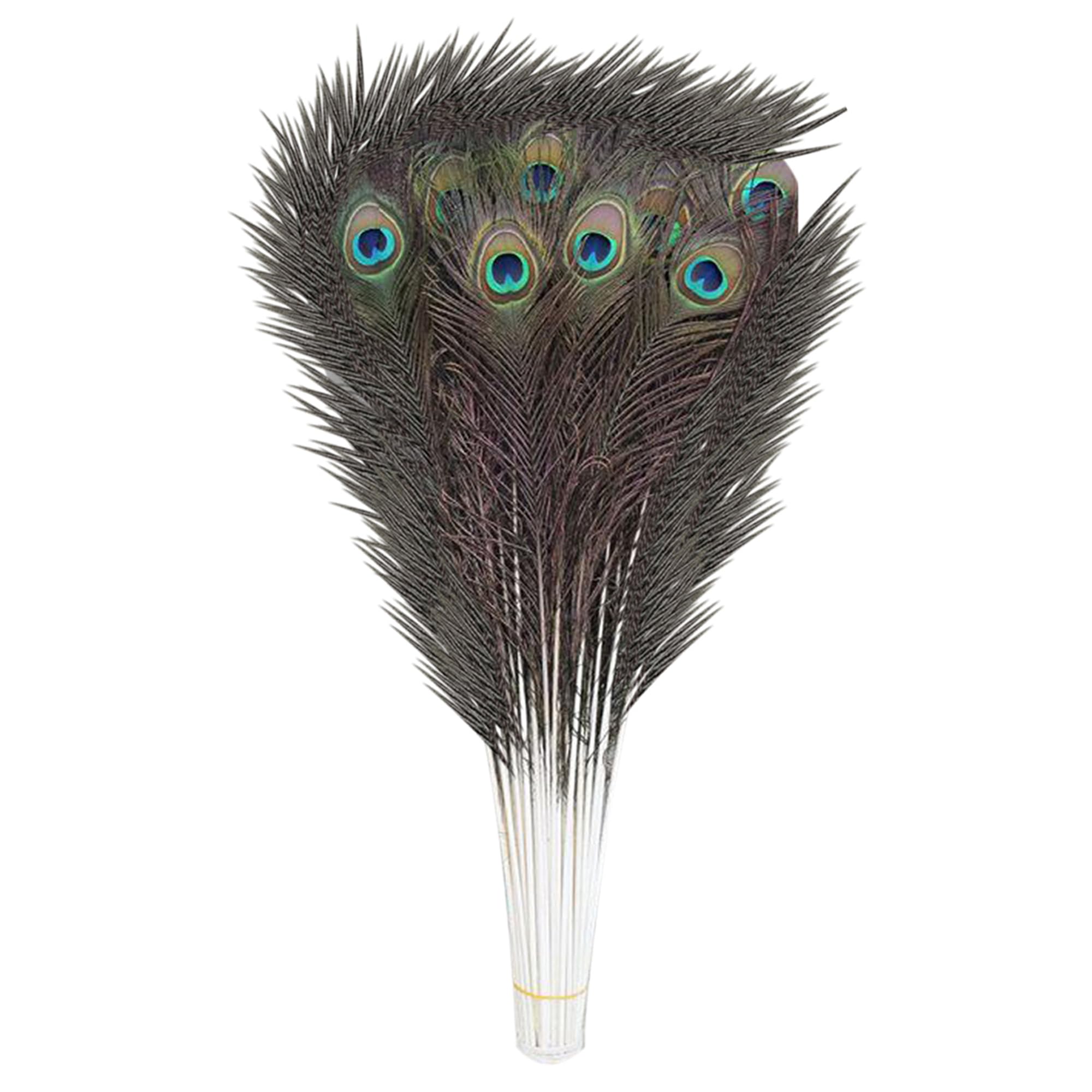 Natural Peacock Tail Beautiful Feathers for for Vase, DIY, Kid's Arts and Crafts, Projects, Carnival Dress-Up Home Wedding Decorations 27-31" (10pcs)