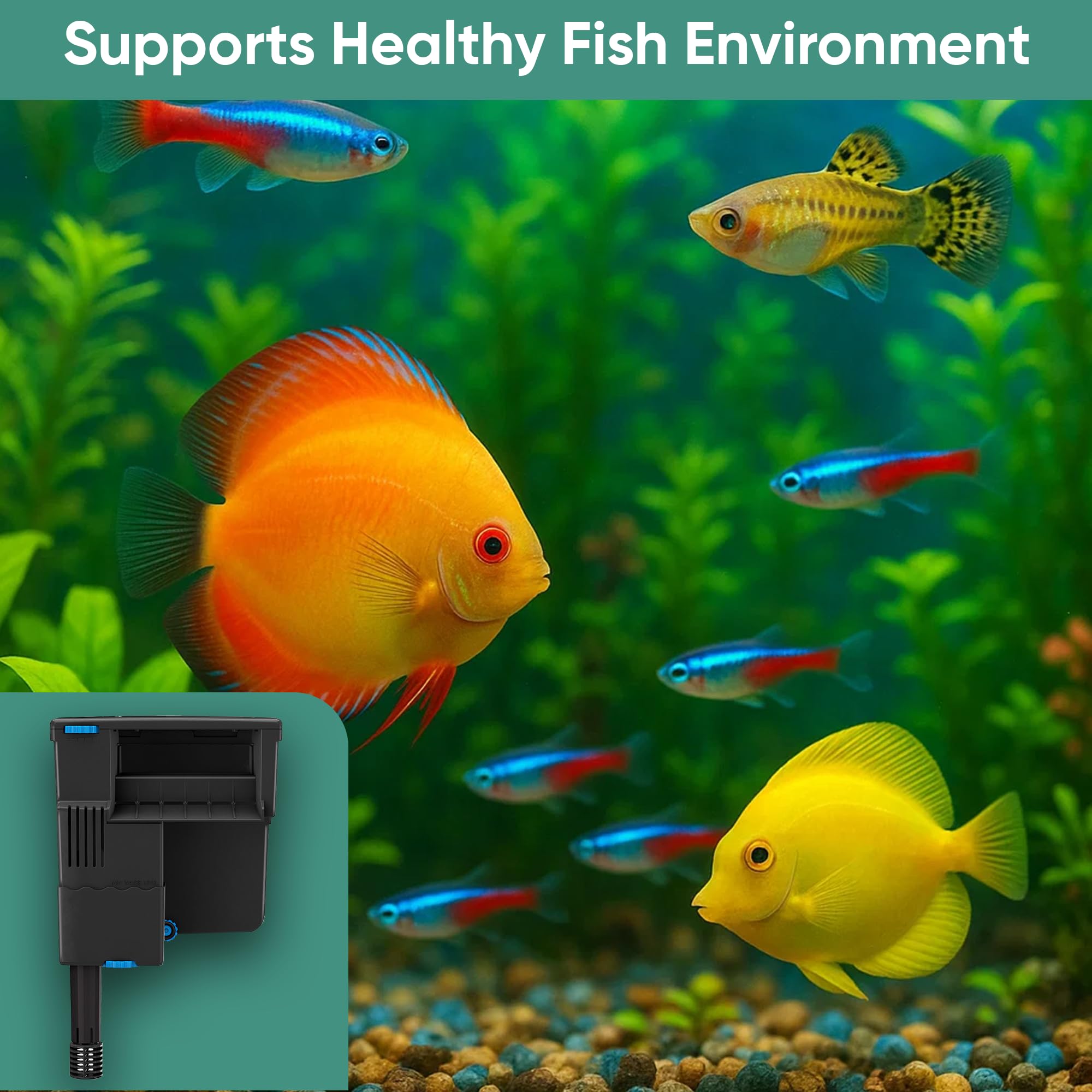 Tidal 55 - Kit de filtro de mantenimiento y reemplazo de medios de filtro, incluye bolsas de filtro de acuario de Gokul Brands (Tidal 55 almohadillas de pulido, 55 esponjas de filtro de