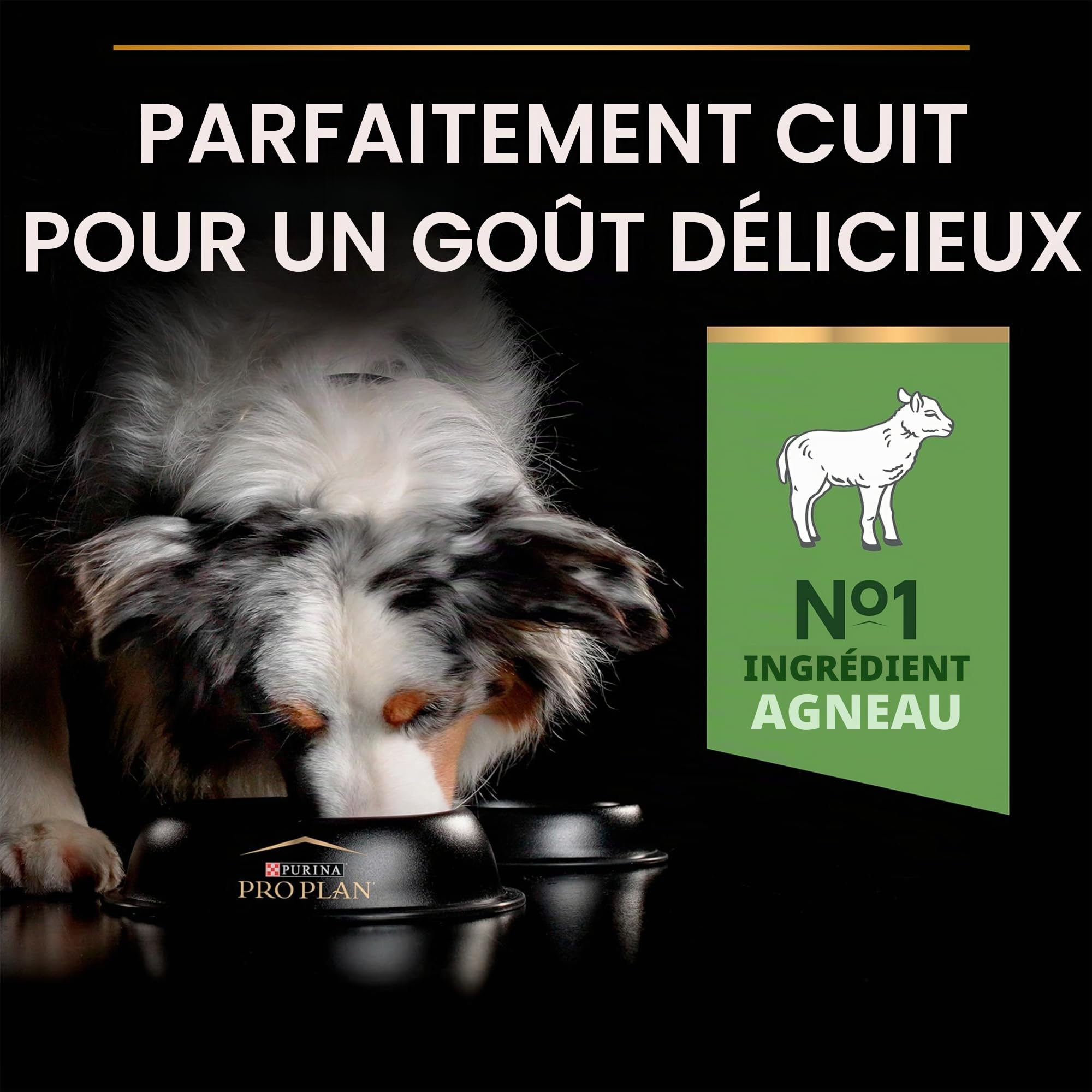 PURINA PRO PLAN | Sensitive Digestion | Croquettes complètes pour chien adulte de moyenne taille | Favorise un système digestif sain | Riche en Agneau | Croquettes | Sac de 14kg