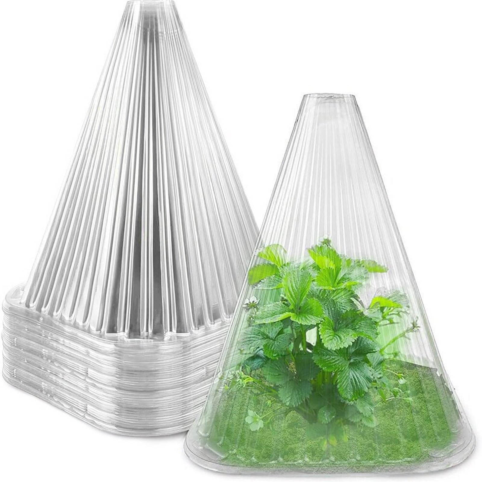 Qianly Garden Cloche Plants Protector Clear Large Plant Bell Cloches Plant Dome Bell Cover for Garden Greenhouse Plants Fruits Planter (Clear-30Pcs) - Image 4