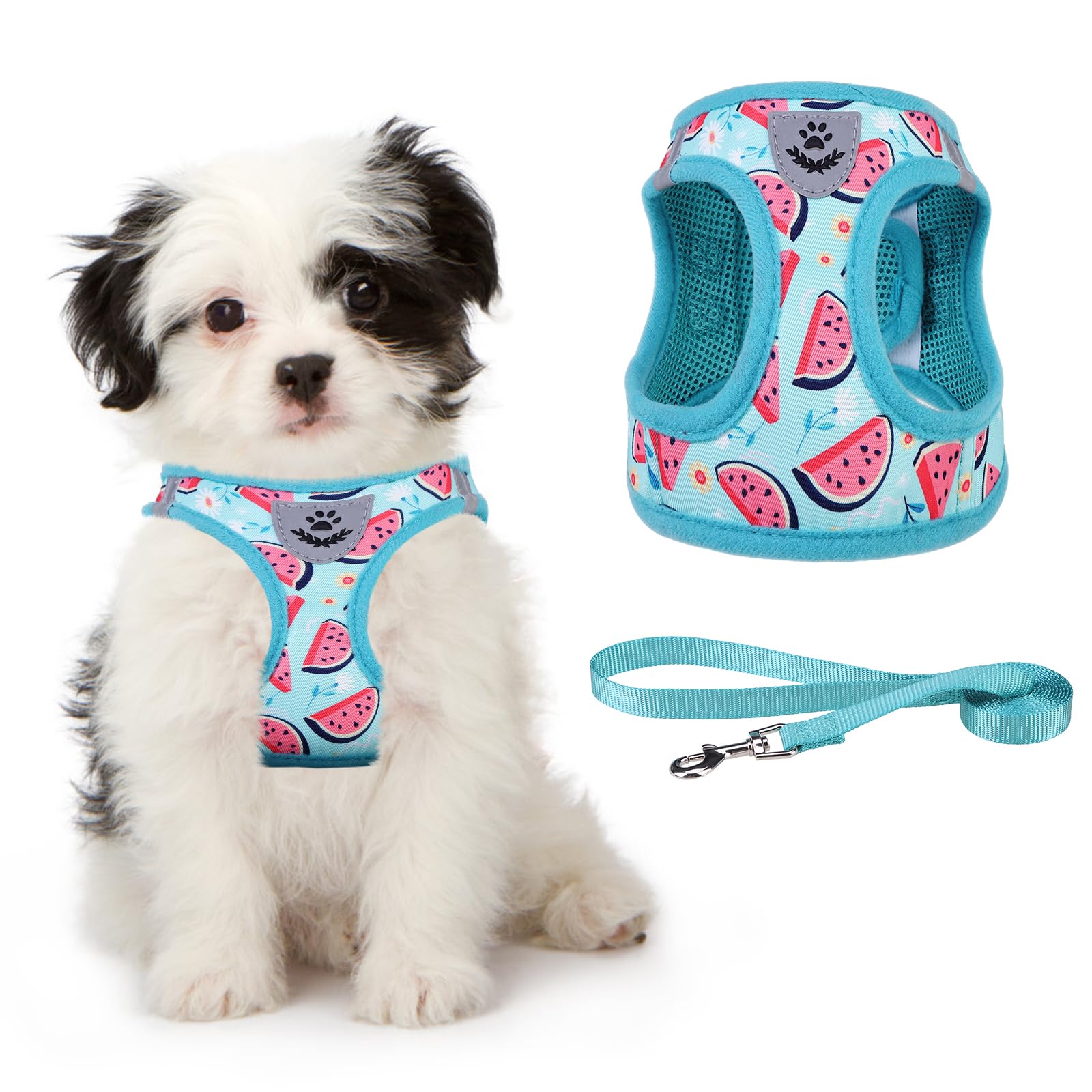 KOOLTAIL - Arnés y Correa para Perros pequeños y medianos, arnés de Entrenamiento de Malla Suave sin tirones, Chaleco Acolchado cómodo, Reflectante, Ajustable, fácil de Caminar, sandía, S