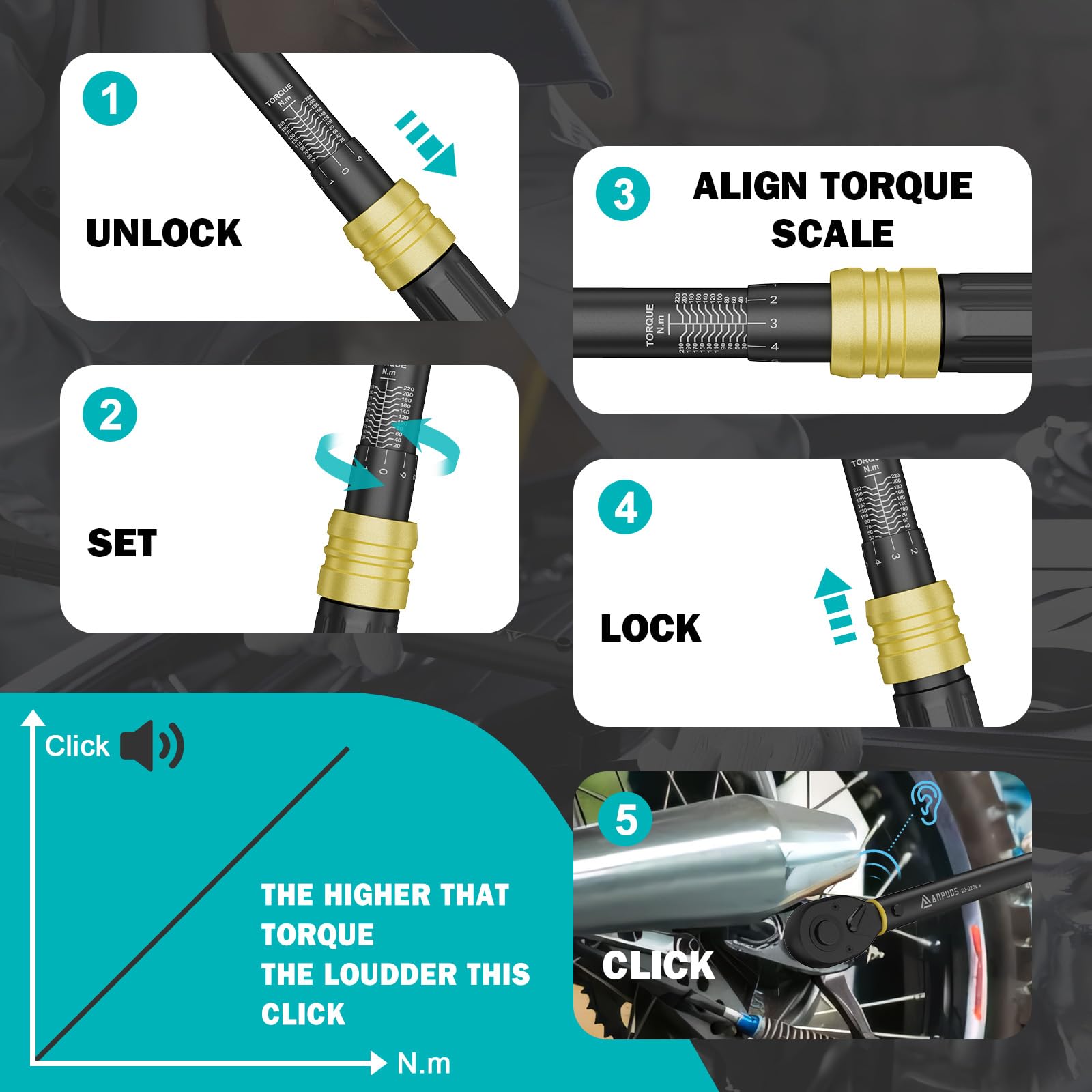 ANPUDS Chiave Dinamometrica 1/2, 20-220 Nm, Precisione ±3%, Set di 6 Pezzi | Include Prolunga 125mm, Adattatore 3/8", 3 Bussole 17/19/21mm, Perfetto per Cambio Gomme di Auto e Moto
