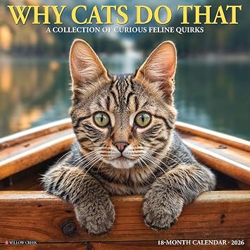 Willow Creek Press, Why Cats Do that 2026 Wall Calendar, 12 X 12, 18-Month Calendar with Stapled Binding