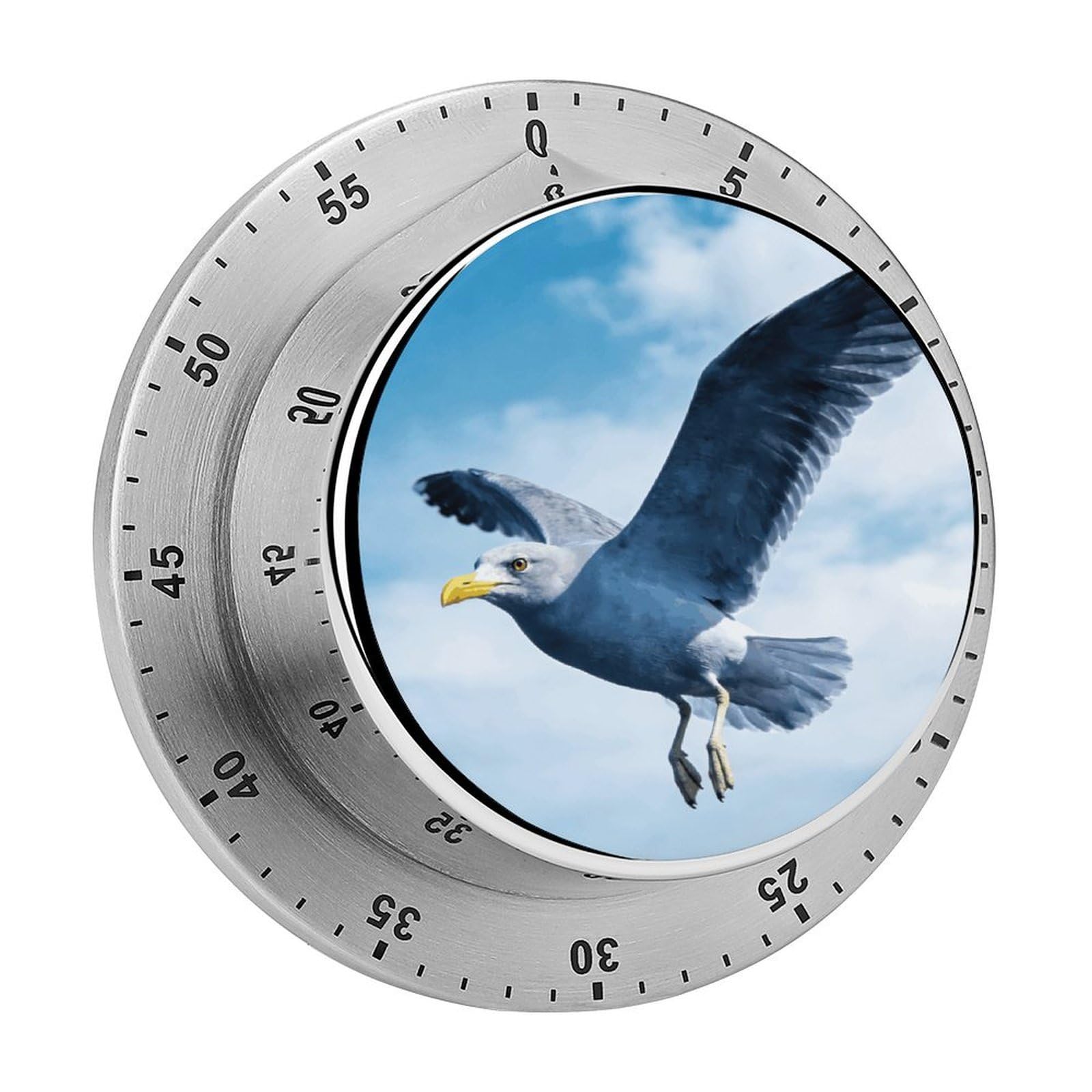 Seagull Timer Exquisite Stainless Steel Body Desk Visual Timer with Loud Alarm 60-Minute Mechanical Countdown Timers Magnetic Backing Cooking Kitchen Timers for Work