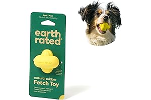 Earth Rated Dog Ball: The Indestructible Fetch Toy for Indoor Fun
