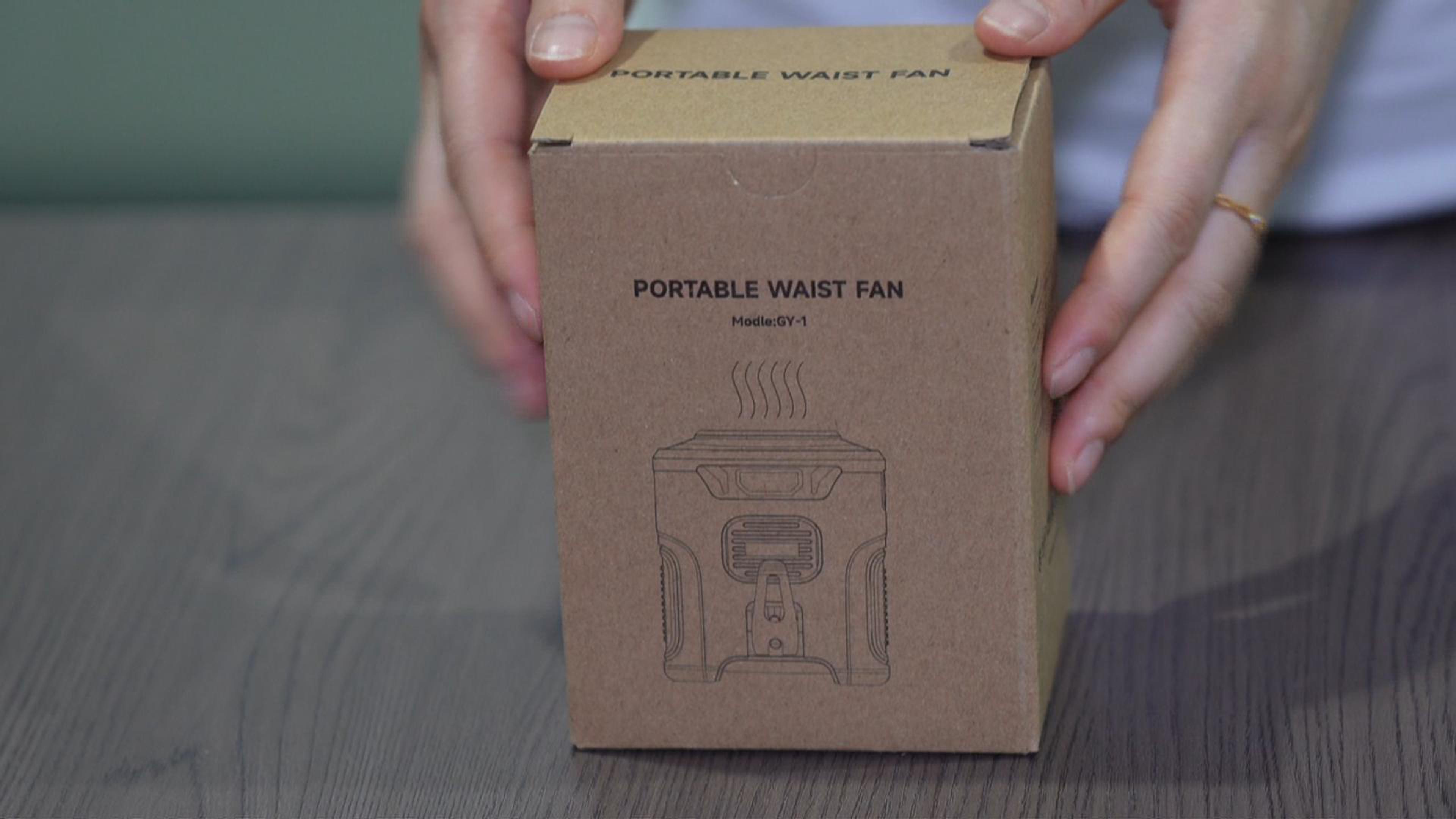 Ventilatore Da Cintura Ricaricabile Da 10000 MAh, 5 Velocità, Torcia