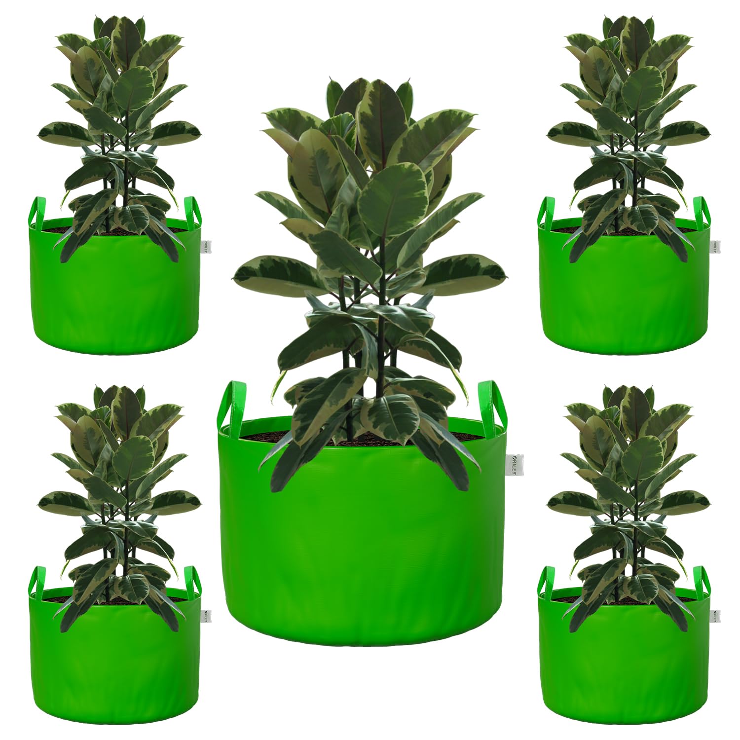 Oriley Grow Bags - Durable Plant Containers -14 Oriley Grow Bags - Durable Plant Containers -14