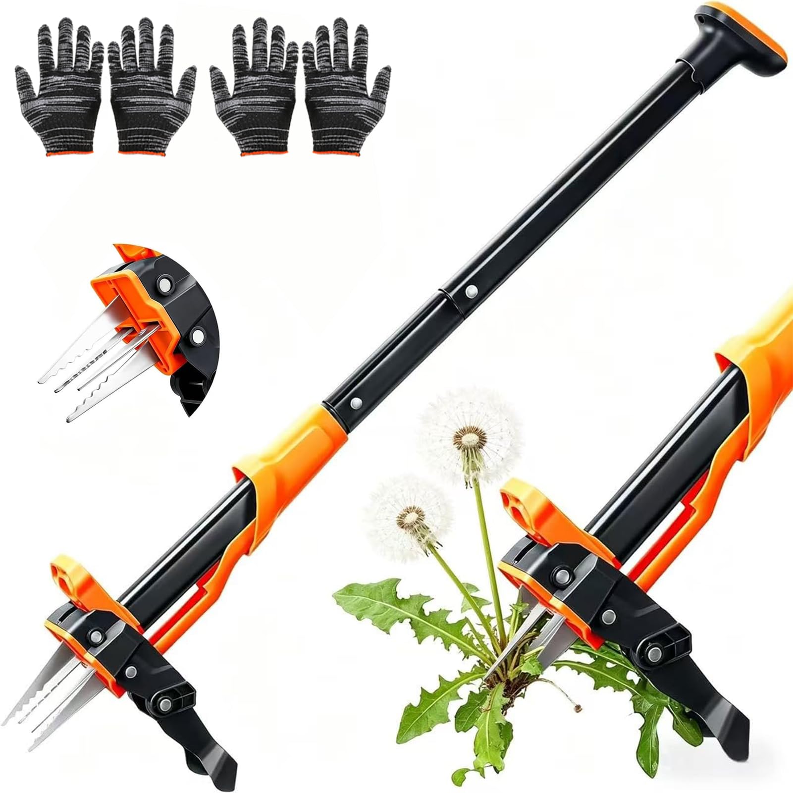 Désherbeur debout mécanique avec manche de 99 cm pour l'extraction des racines