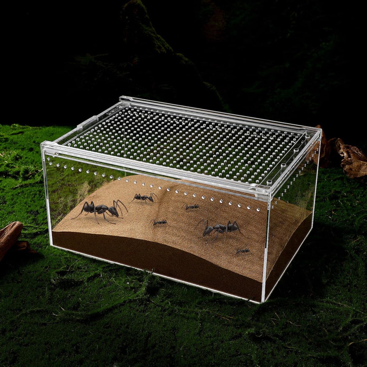 Recinto Acrílico para Alimentación y Cría de Reptiles, Ventilación