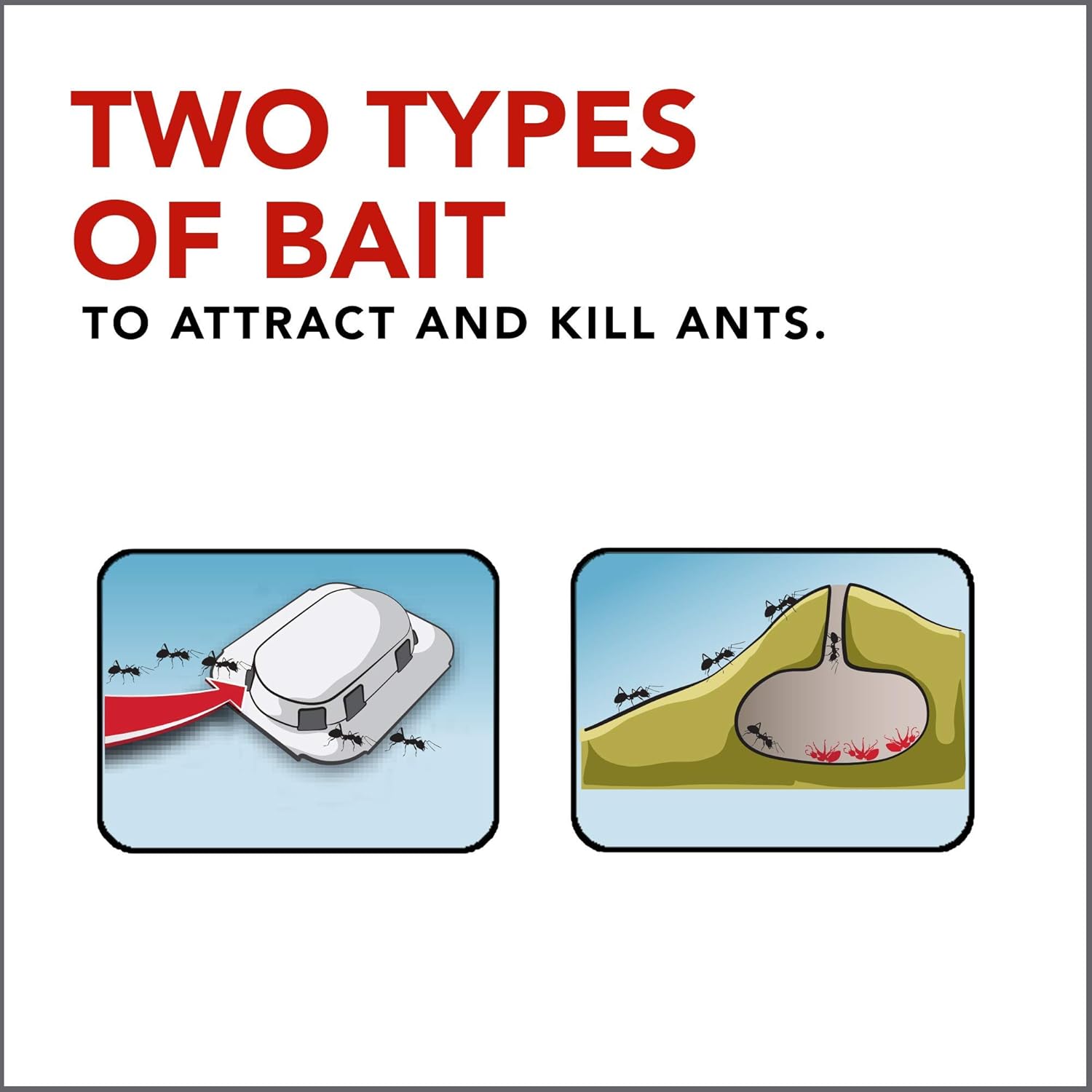 Raid Max Double Control Ant Baits Dual Bait Technology 8 Count (Pack of 4)