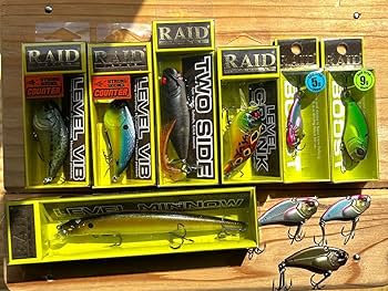 RAIDJAPANルアーセット Amazon.co.jp: レイドジャパン RAID JAPAN ルアーセット : ホビー