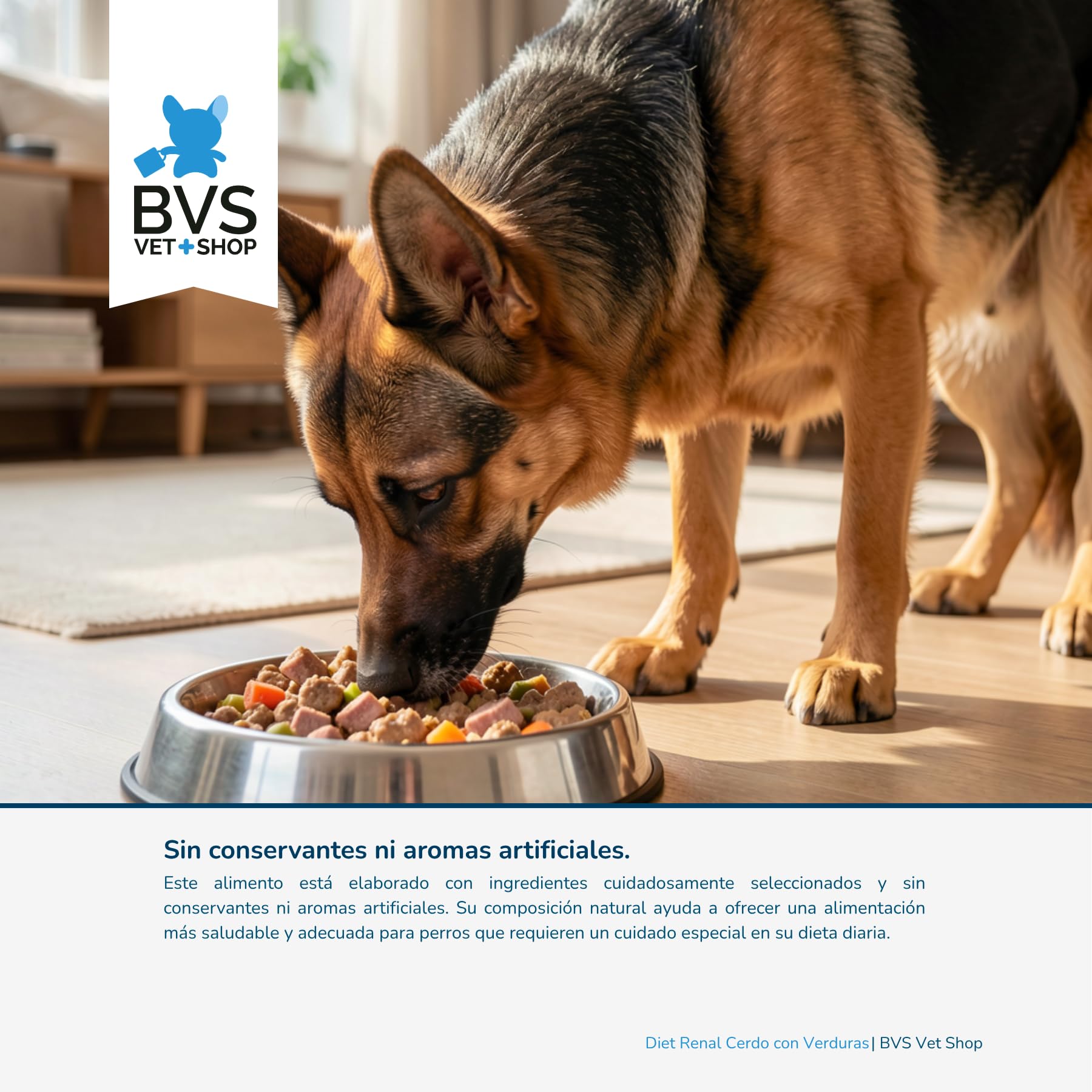 BVS Vet Shop | Diet Renal Cerdo con Verduras Lata para Perros | Adecuado para apoyar la función renal, con Aceite de salmón y prebióticos | 6 unid. x 400 gr