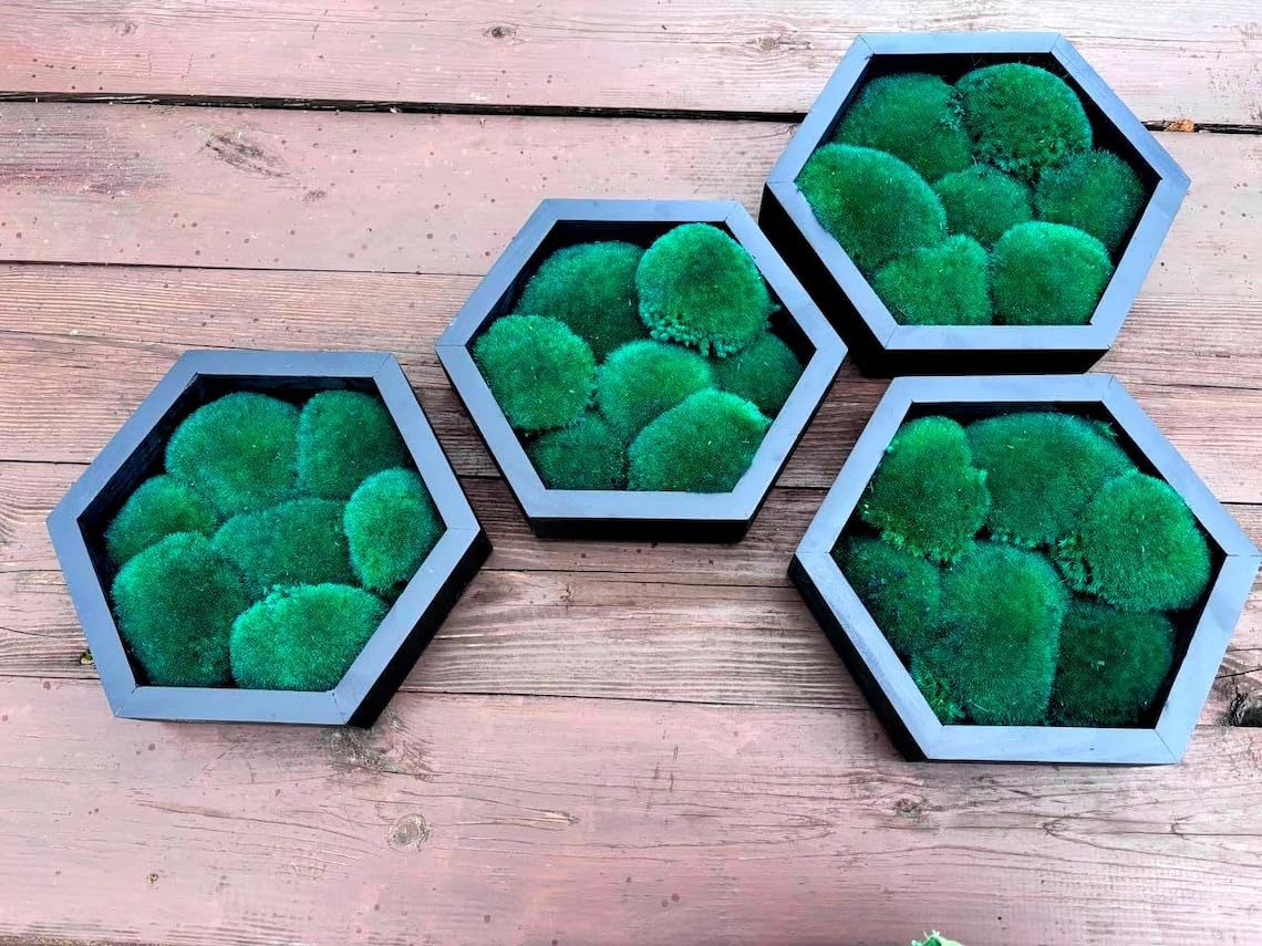 Moss Hexagons