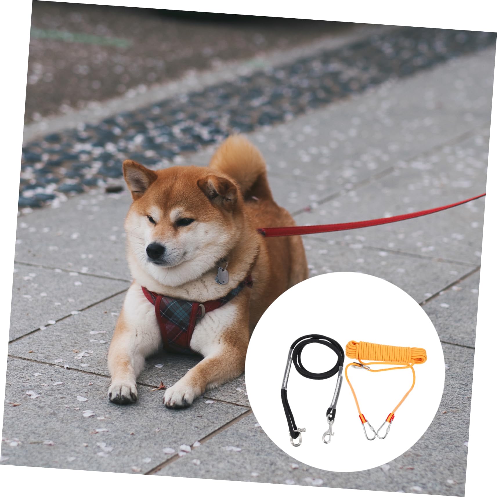 POPETPOP Cadena Resistente para Perros con Cable Runner para Camping Cuerda de Nylon Duradera para Control Seguro y Comodidad Paseos