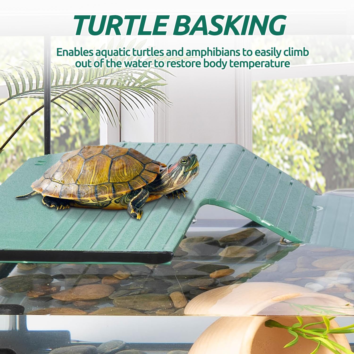 Schildkröten-Tank-Set aus Glas, 30,8 x 30,5 x 25,4 cm, Starter-Set mit Drainagesystem, Sonnenplattform und leisem Aquarium-Eck-Innenfilter, Wasserschildkröten-Terrarium