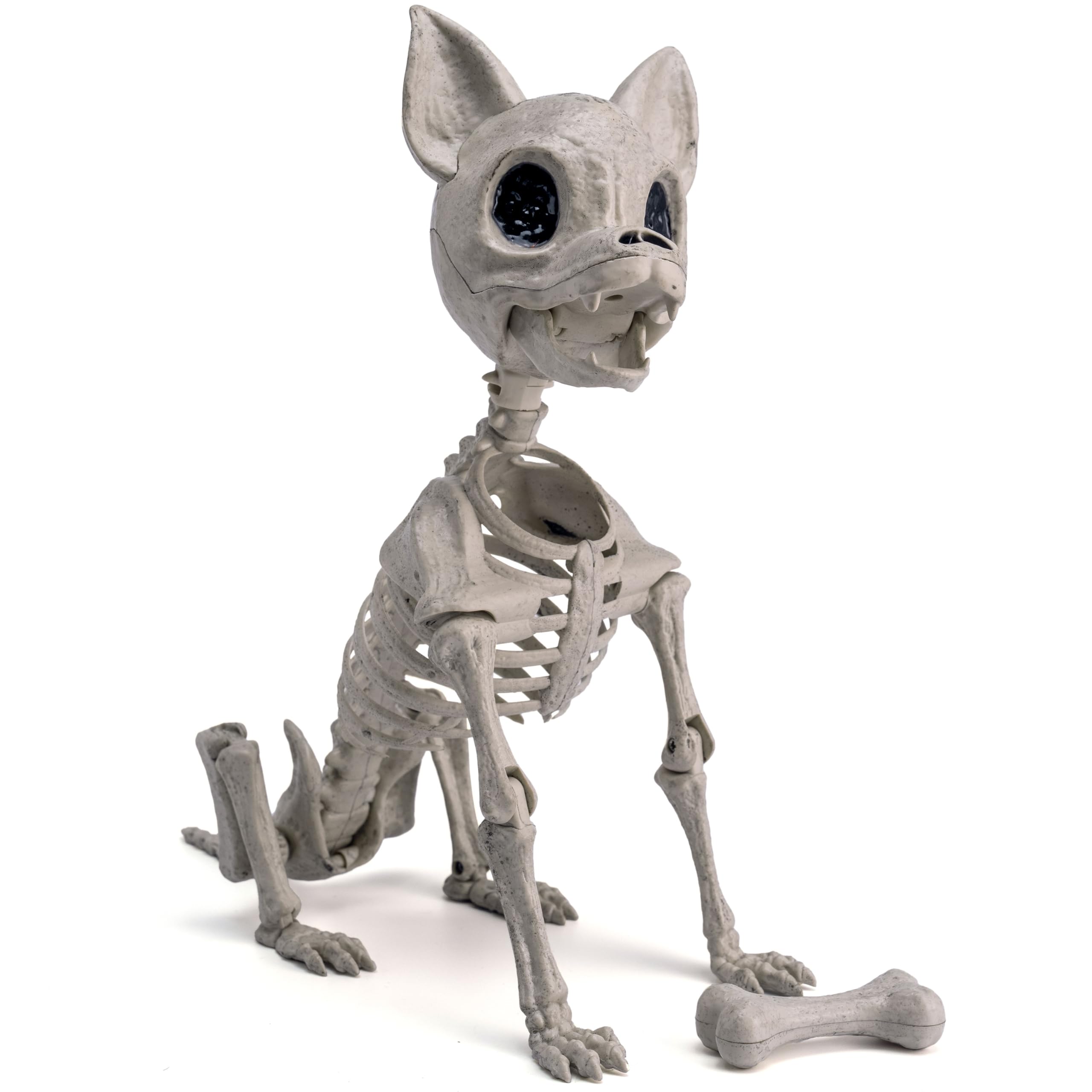 トールペイント作品　チワワのハロウィン Amazon.co.jp: JOYIN ハロウィン プラスチック チワワ 犬